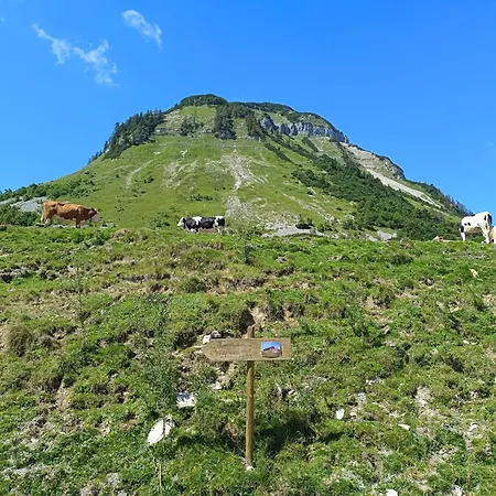 Appartement Wohlfuehl-ferienwohnung 