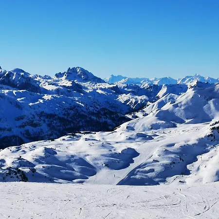 Wohlfuehl-ferienwohnung 