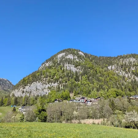 Wohlfuehl-ferienwohnung 