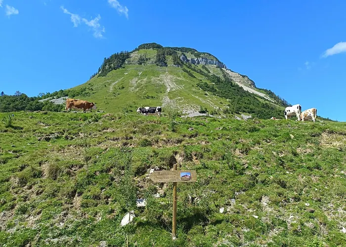 Apartamento Wohlfuehl-ferienwohnung 
